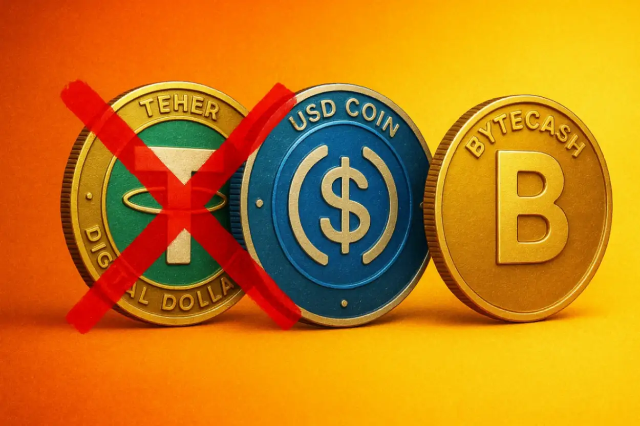 Chia не будет выпускать USDC/USDT 2025, зато появится Bytecash (BYC)